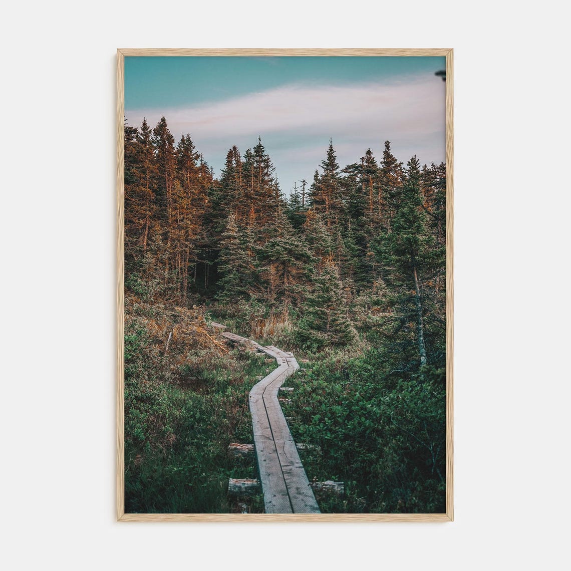 Fine Art Forest Trail Print Color Photography Poster For Home Decor Nature Wall Art Landscape Photography Gift Idea