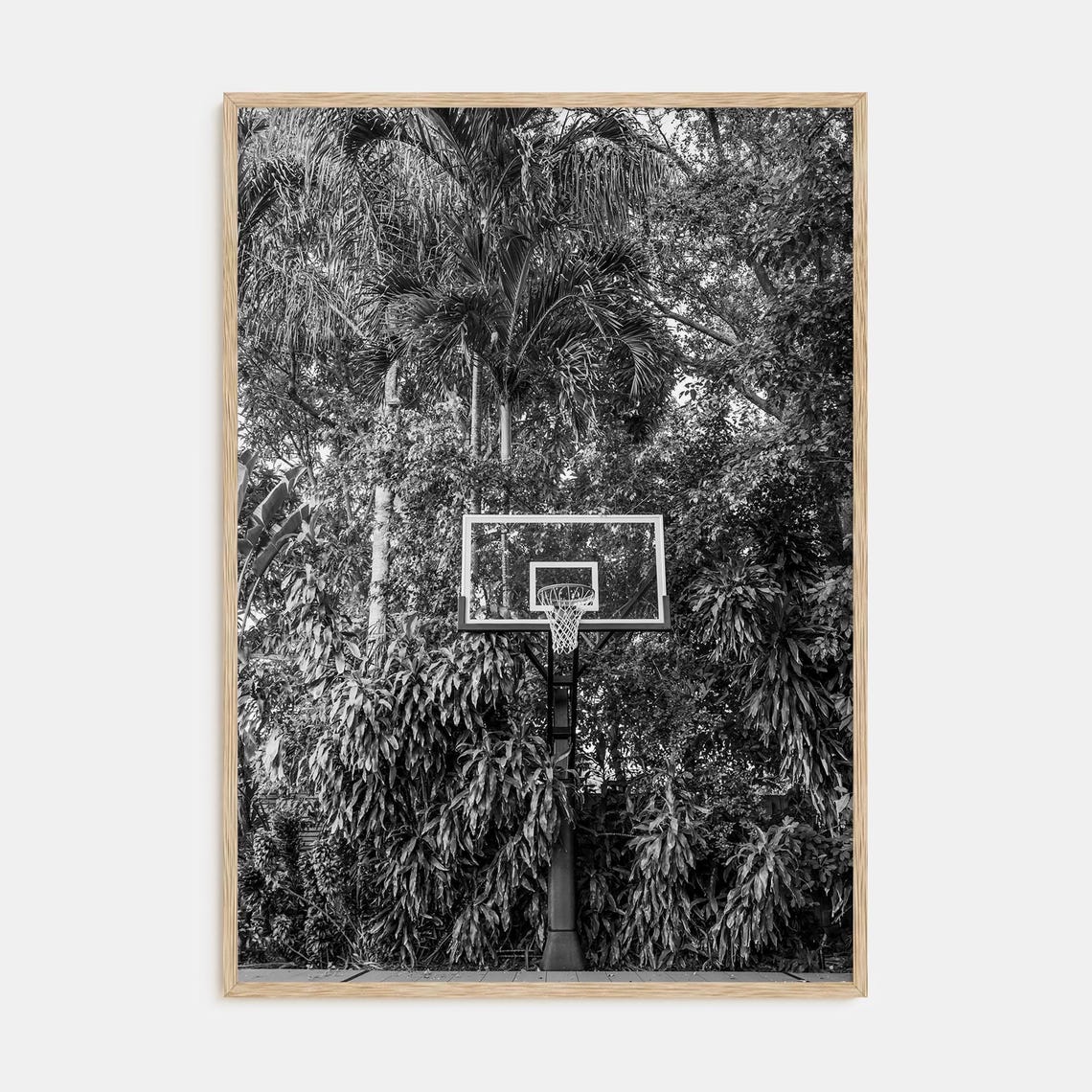 Black and White Basketball Hoop Surrounded by Palm Trees Poster