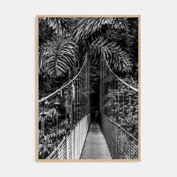 Fine Art Hanging Bridge Print Black And White Photography Poster Wall Art Decor For Home Office