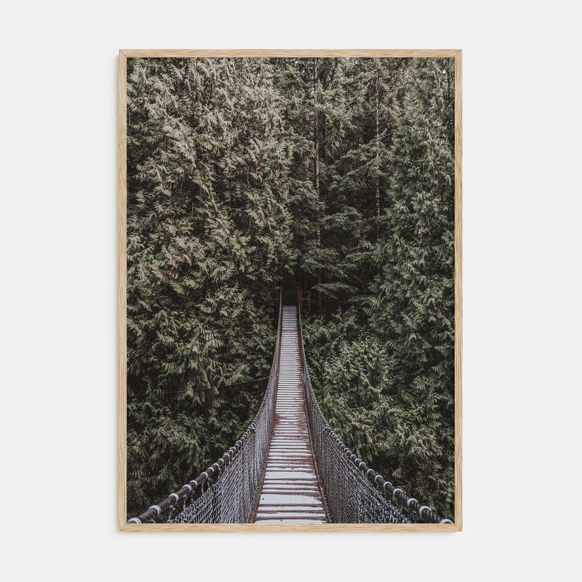Hanging Bridge Landscape Poster, Nature Art Print