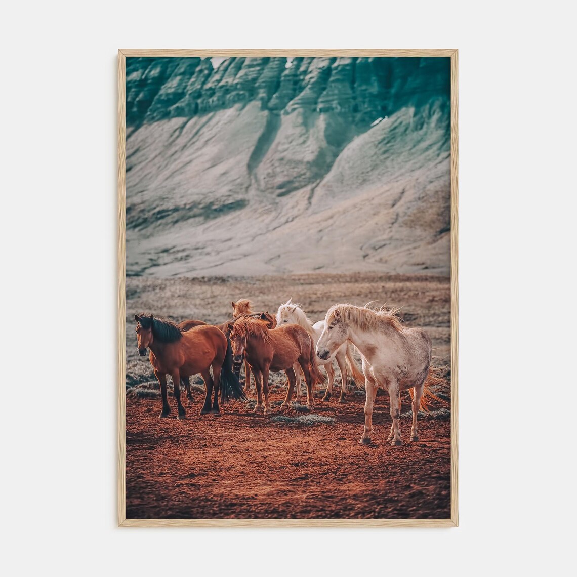 Wild Horses Herd Red Desert Mountains Wildlife Photography Poster