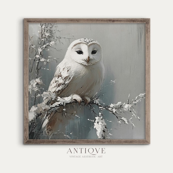 White Owl Perched On Snowy Branch Close Up Wildlife Painting Poster