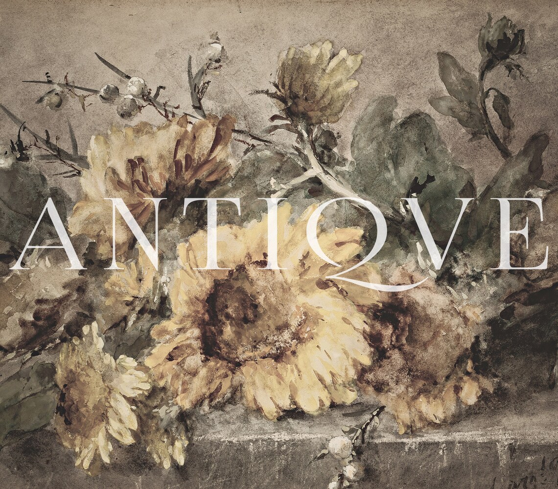 Vintage Sunflower Painting, Botanical Art Print - Image 4