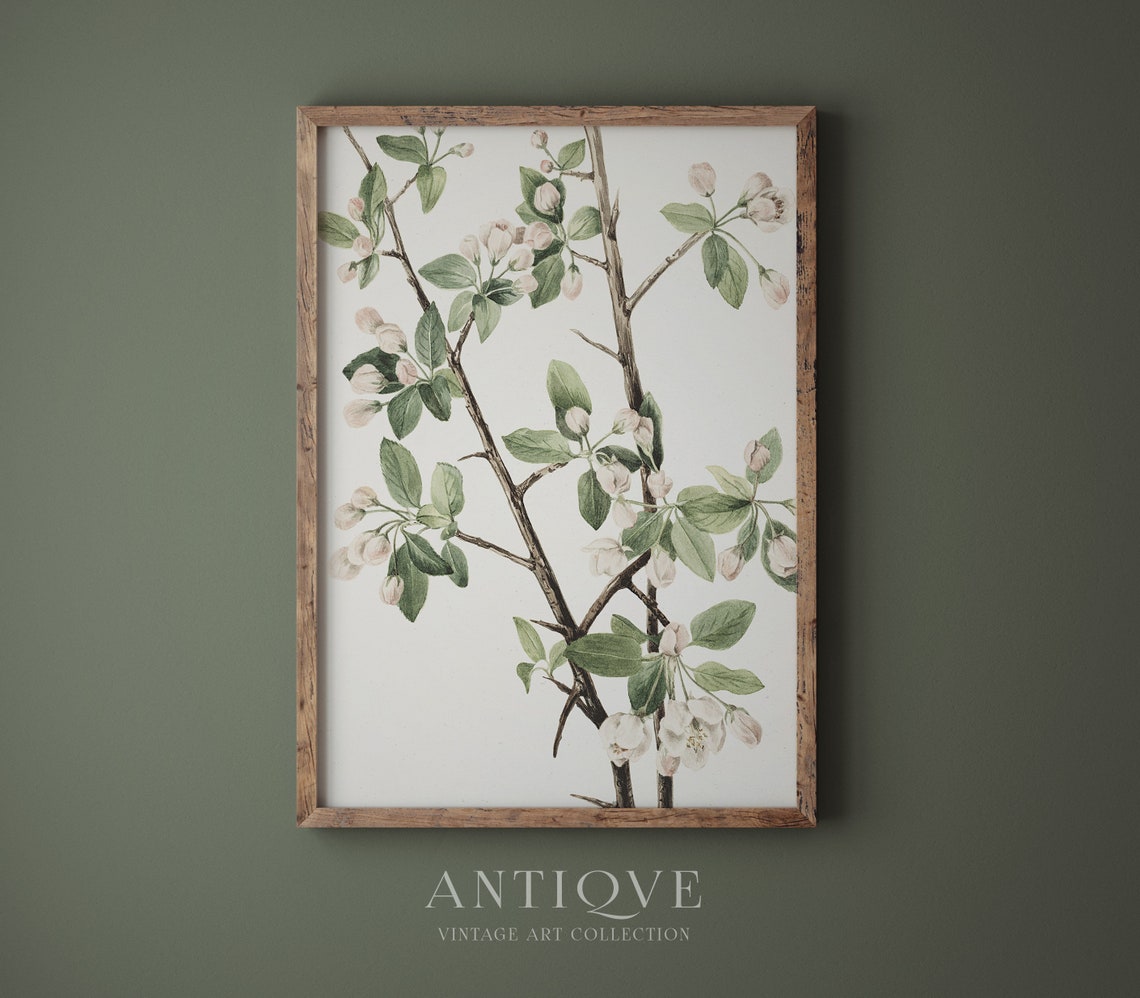 Vintage Flowers, Botanical Art Print - Image 4
