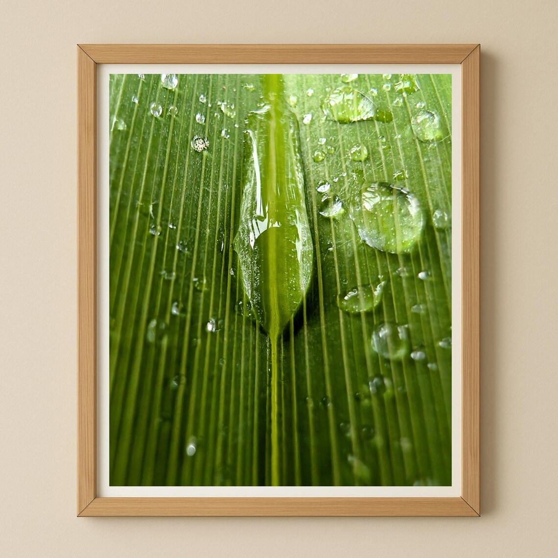 Fresh Green Leaf With Water Drops Macro Nature Photo Art Poster