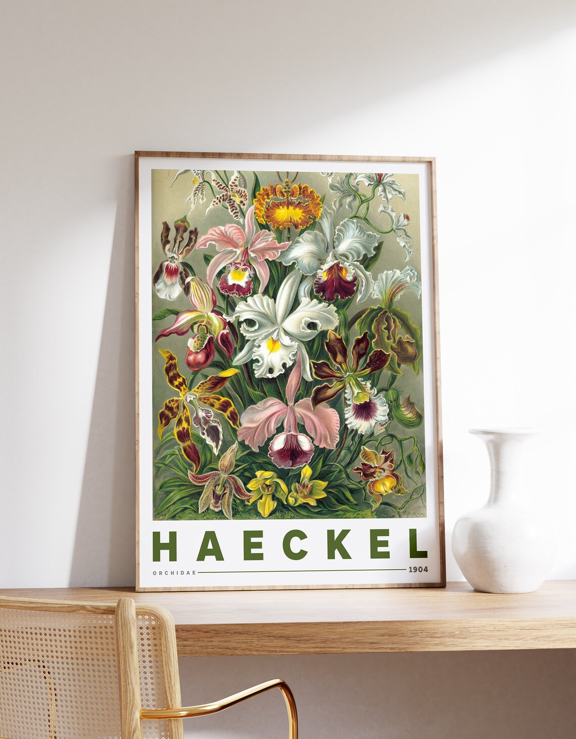 Ernst Haeckel Orchidae Botanical Poster Vintage Print Flowers Wall Art Nature Fine