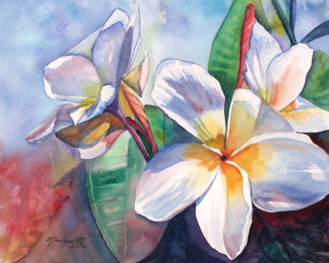Plumeria Frangipani Kauai Hawaii Travel Poster