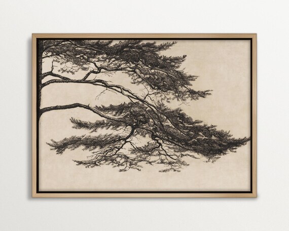 Vintage Pine Tree Art Print, Japanese Tree Silhouette