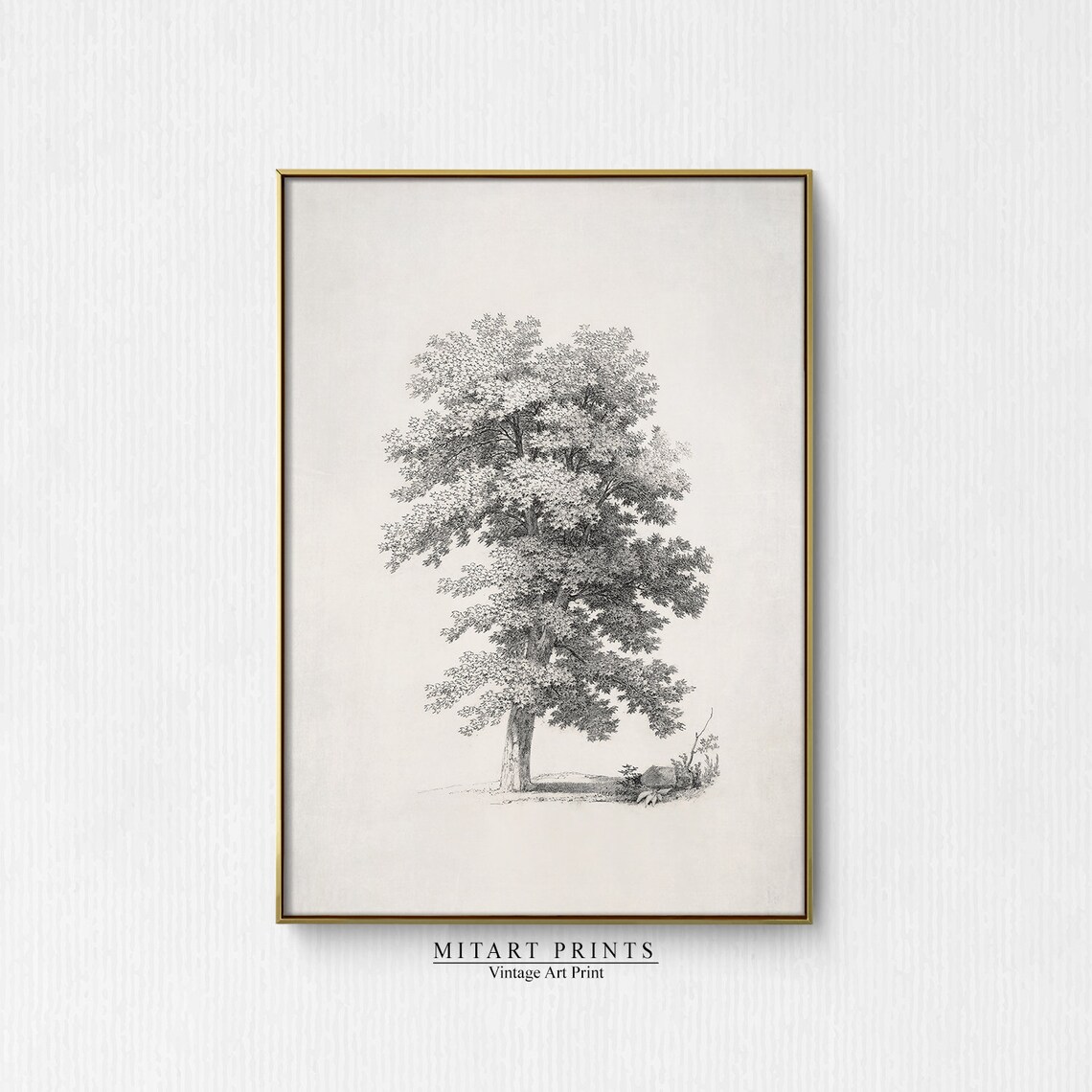 Vintage Tree Sketch Print, Neutral Farmhouse Decor