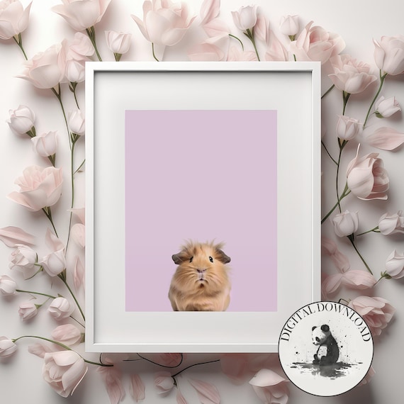 Cute Fluffy Guinea Pig Pink Background Nursery Animal Photo Poster