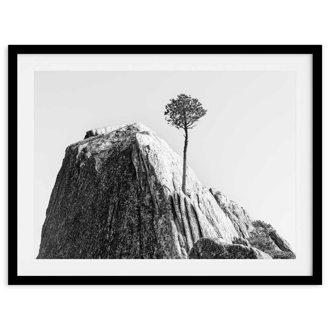 Lone Pine Tree Granite Cliff Black And White Minimal Mountain Poster - Image 2