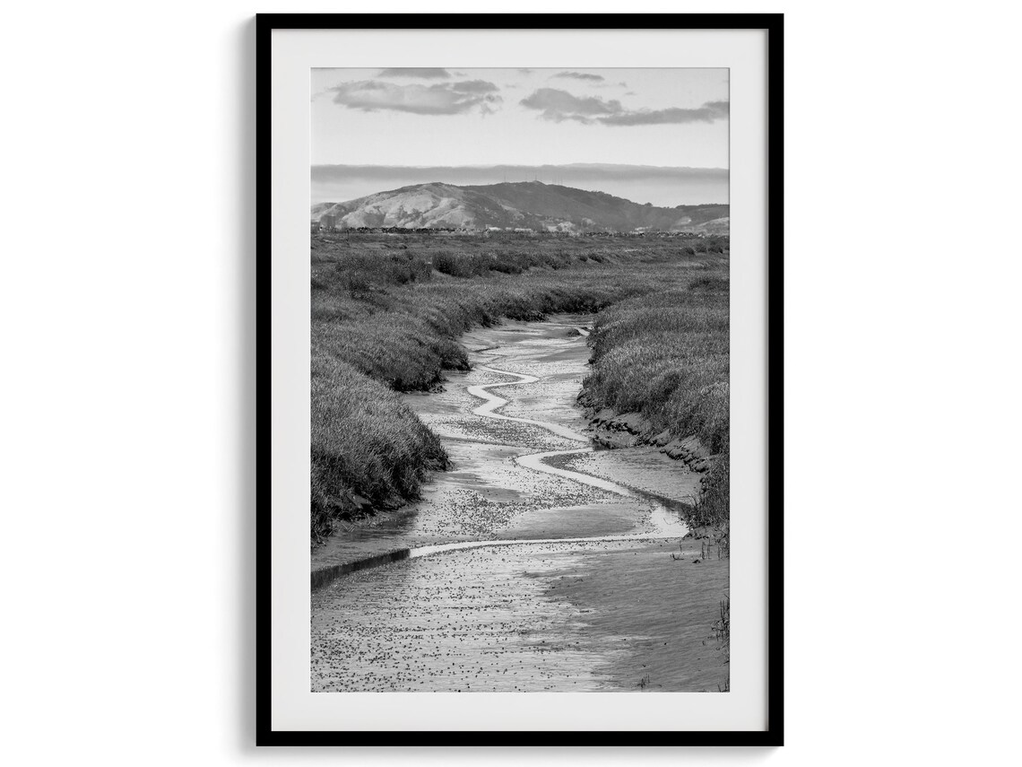 Marsh River Black and White Nature Art Print, PNW - Image 2