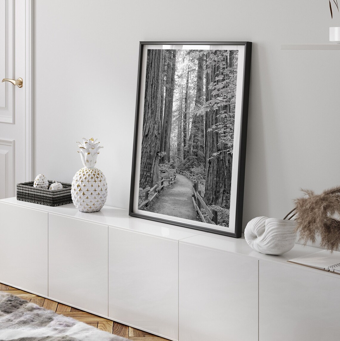 Redwood Forest Black & White Photography Art Print - Image 3