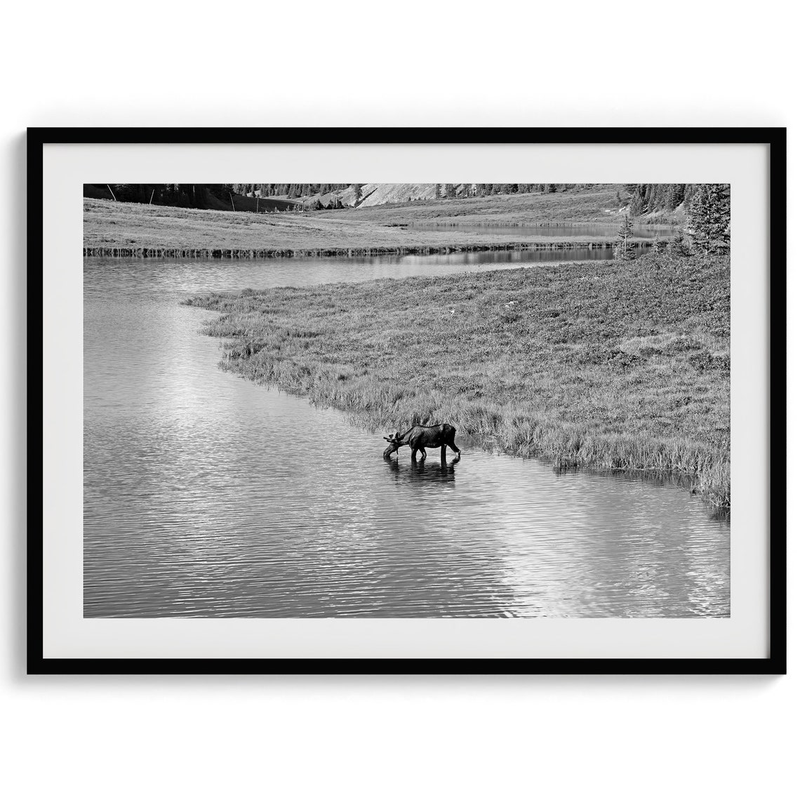 Black And White Moose River Mountain Meadow Minimalist Wildlife Poster - Image 5