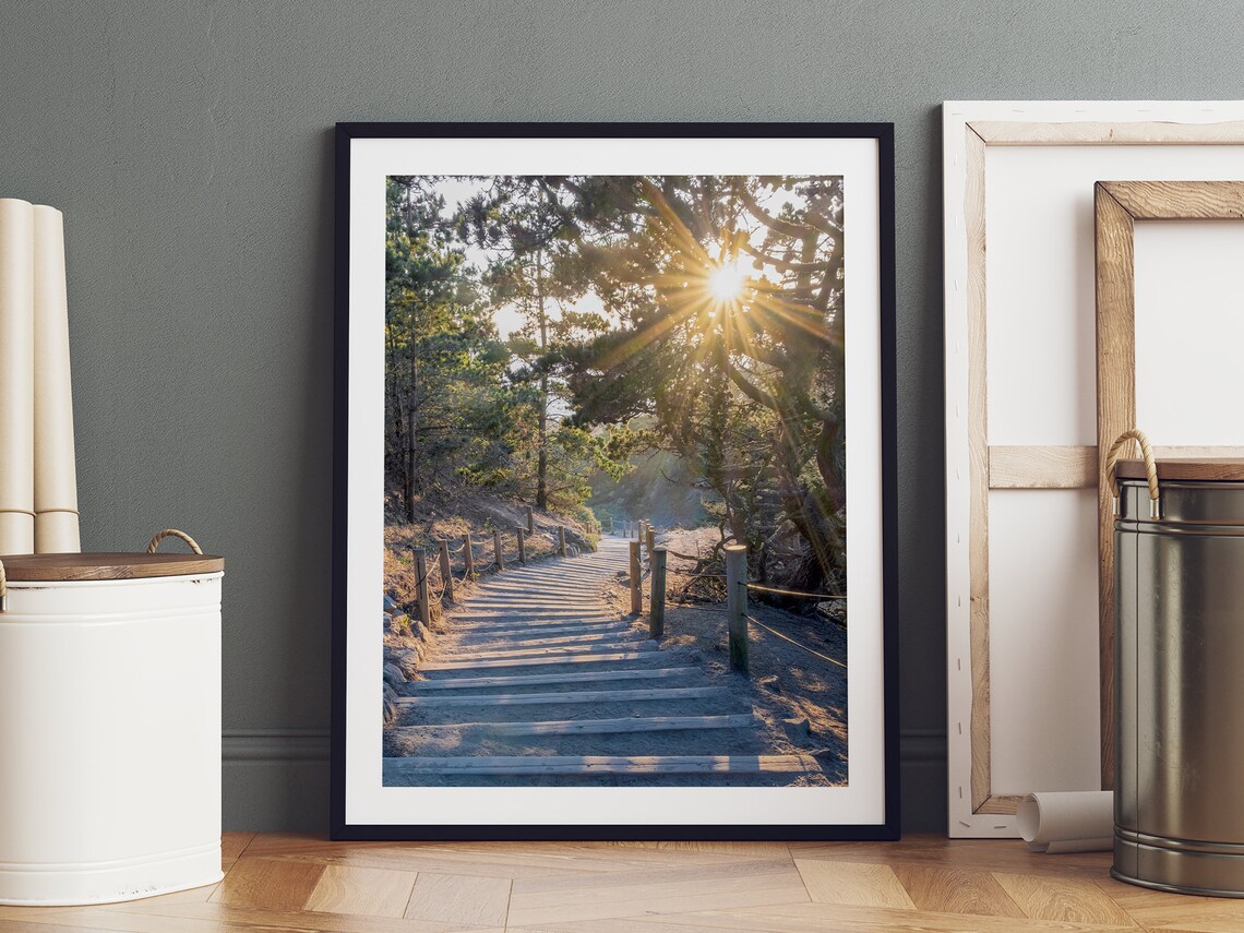San Francisco Coast Sunset Forest Photography Art Print - Image 4