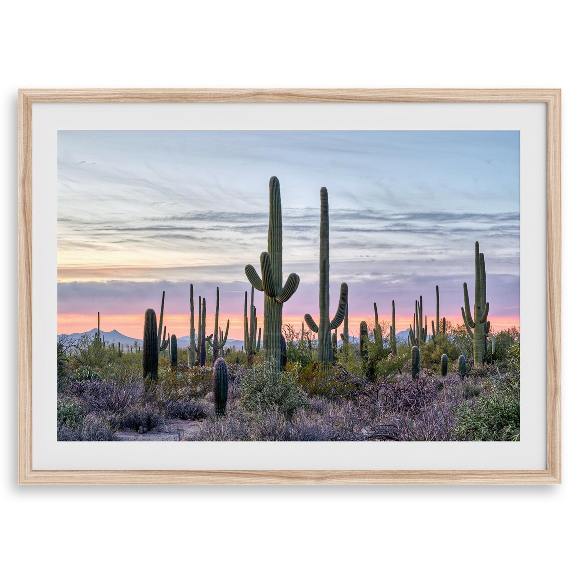 Saguaro Sunset Southwest Desert Cactus Art Print