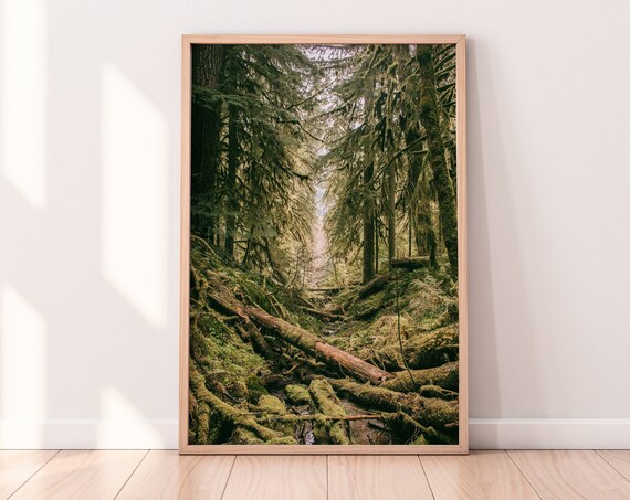 Dark Green Forest Landscape Art Print