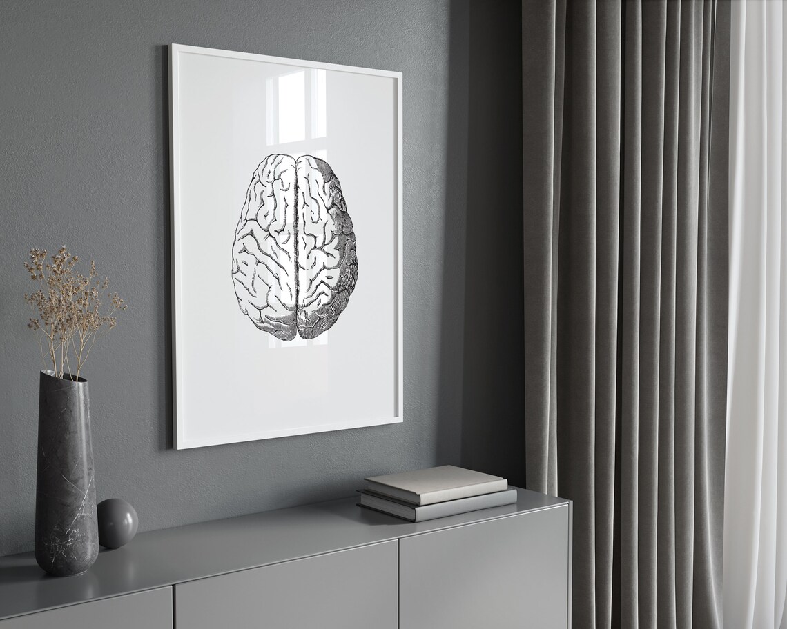 Brain Anatomy Art Print, Medical Study Poster - Image 2