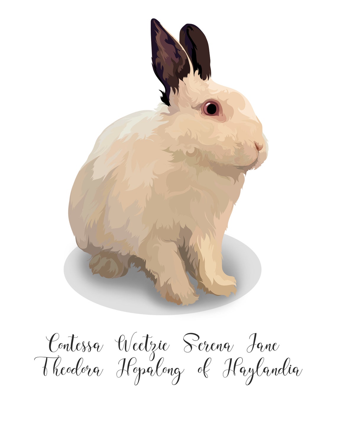Coconut the Lop-Eared Rabbit Portrait From Photo Custom Pet Poster - Image 5