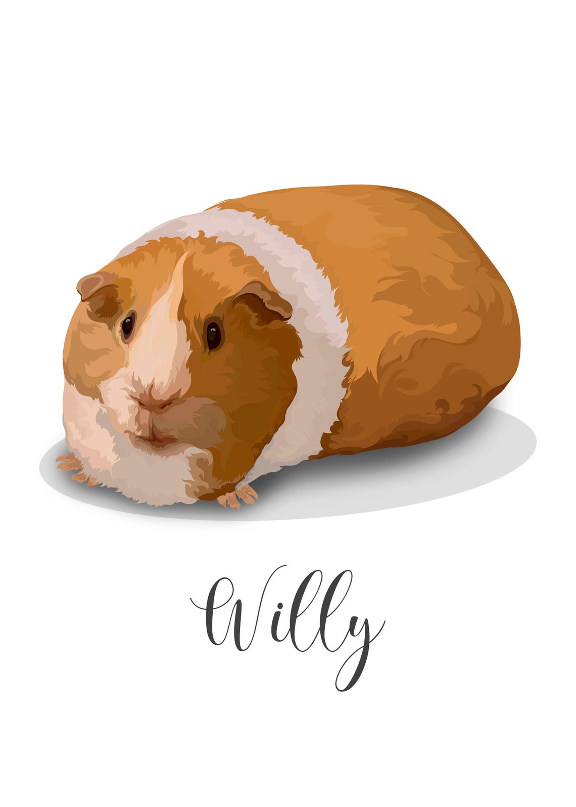 Emmett the Fluffy Guinea Pig Custom Vector Pet Portrait Poster - Image 4