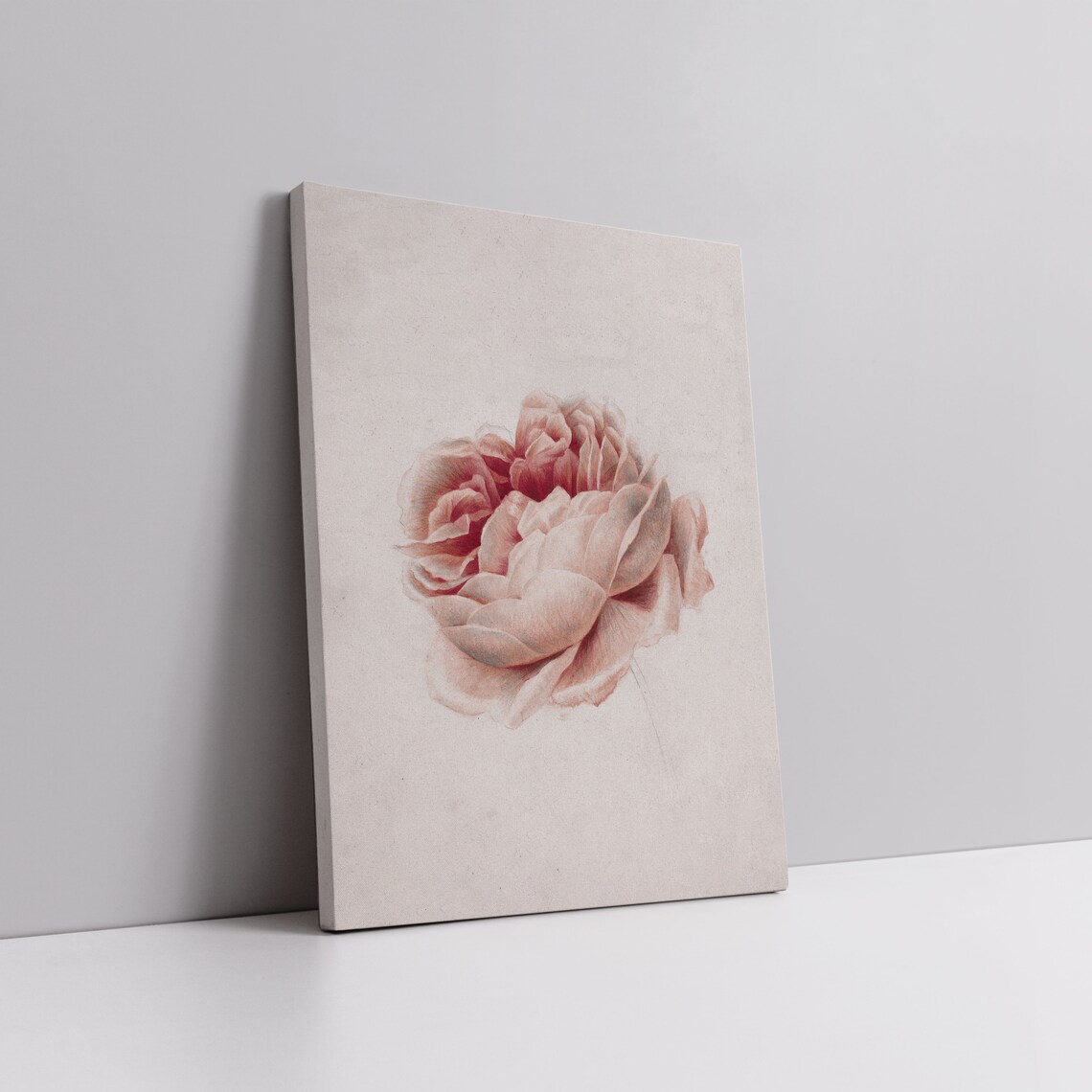 Blush Pink Peony Vintage Botanical Illustration Minimal Floral Print - Image 4