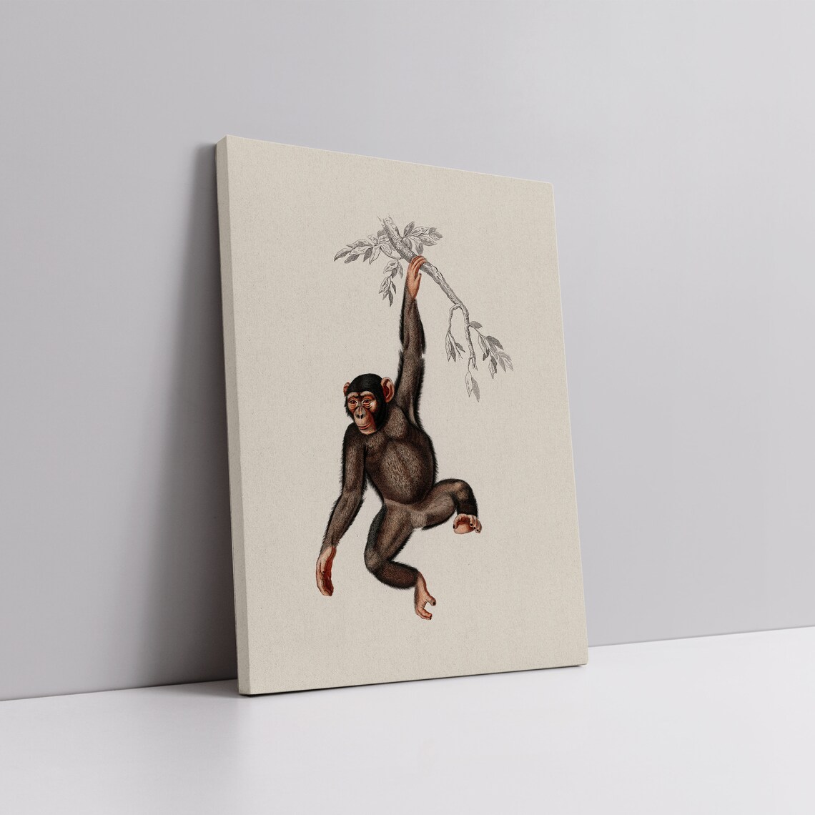 Vintage Monkey Hanging From Branch Antique Animal Illustration Safari Poster - Image 3