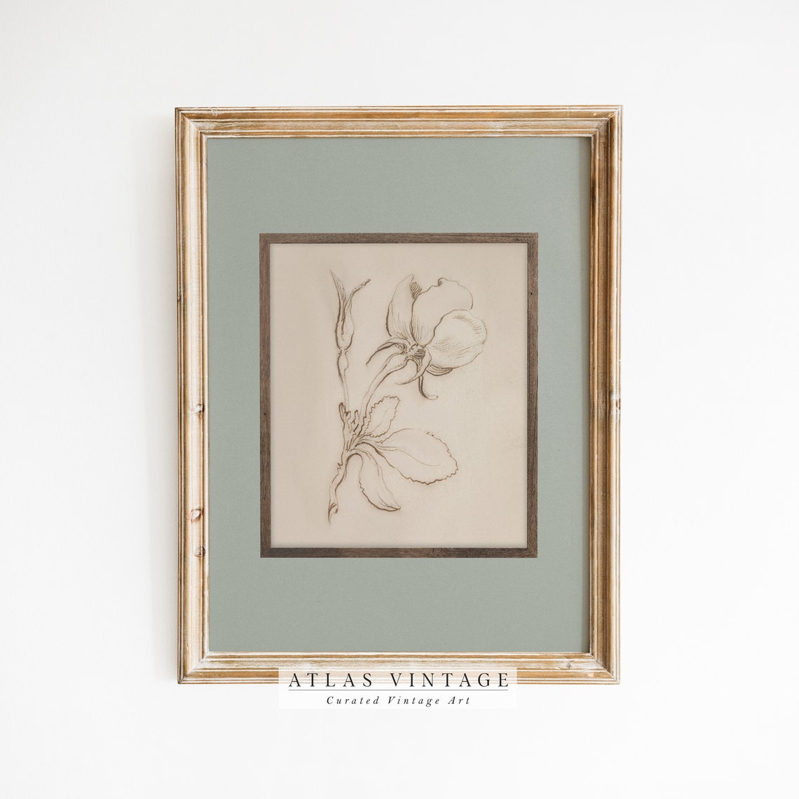 Minimalist Sepia Rose Sketch Line Drawing Antique Botanical Wall Art