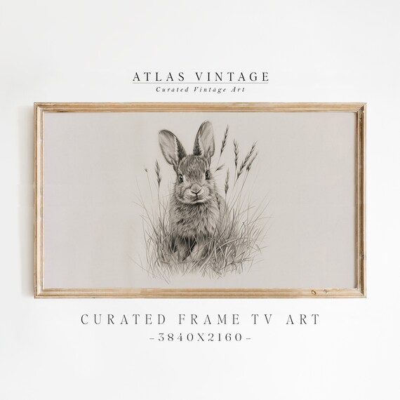 Vintage Bunny Sketch Poster Pencil Drawing Rabbit in Grass Art