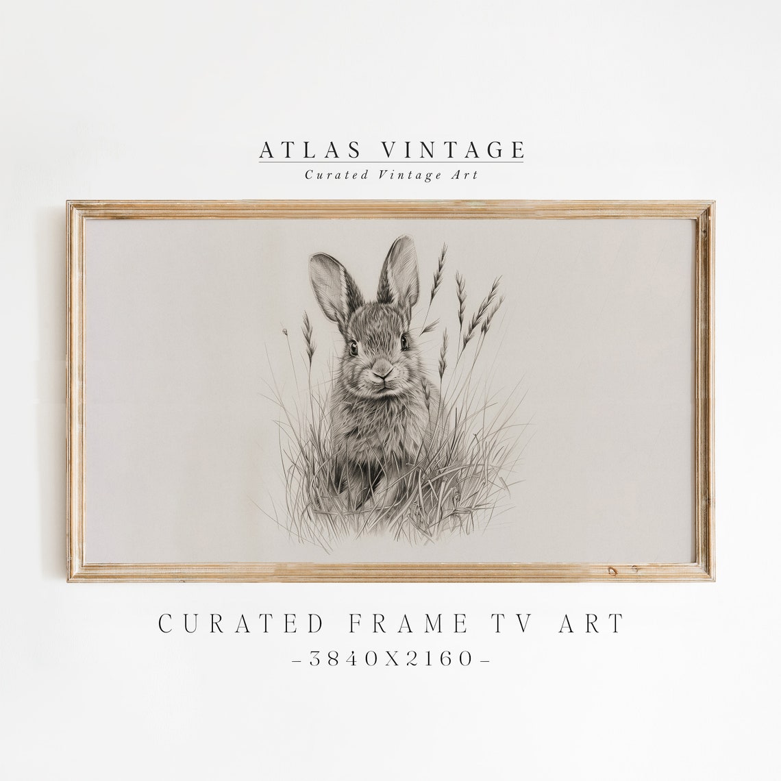 Vintage Bunny Sketch Poster Pencil Drawing Rabbit in Grass Art