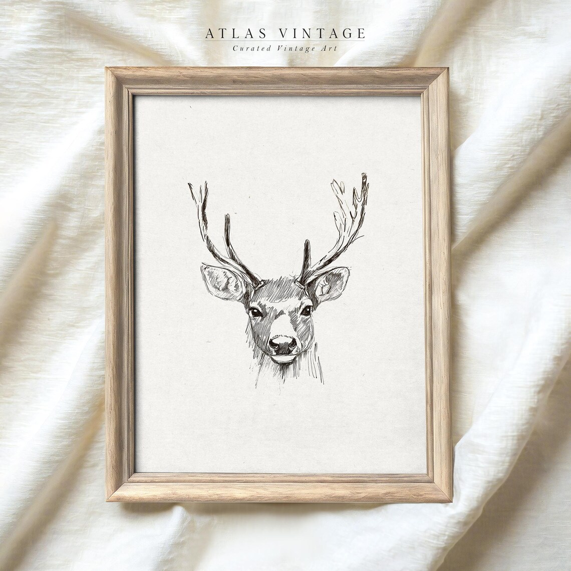 Stag Head Pencil Sketch Minimalist Deer Antlers Oval Art Poster - Image 5