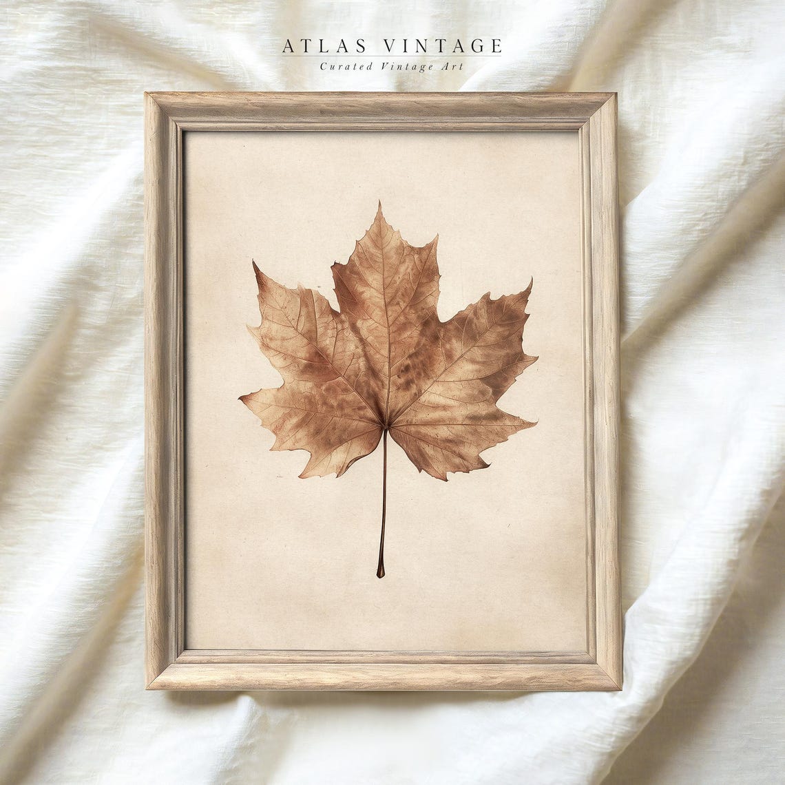 Pressed Brown Maple Leaf Simple Botanical Neutral Beige Fall Poster - Image 5