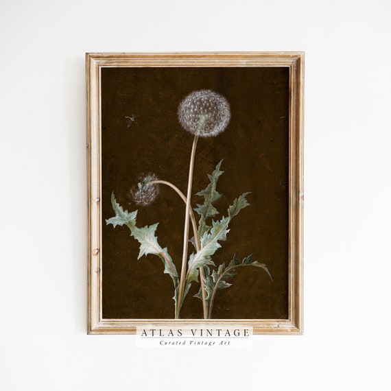 Dark Botanical Print Vintage Moody Dandelion Art Victorian Dark Academia Decor Dark Floral Cottagecore Wall Art