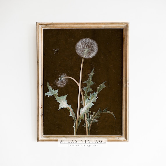 Dark Moody Dandelion Seed Botanical Vintage Style Dark Academia Poster
