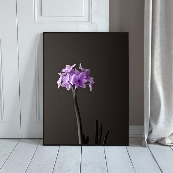 Purple Daffodil Wall Art Black And White Floral Print For Minimalist Decor Botanical Poster Grayscale Flower Artwork