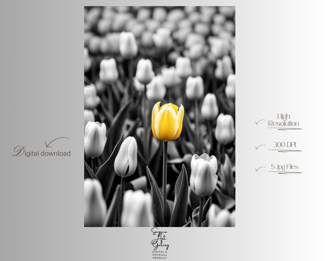 Yellow Tulip Selective Color Bloom Among Grayscale Field Photo Poster