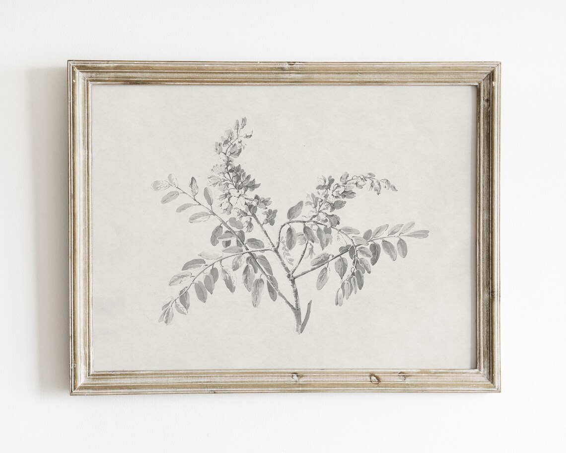 Minimalist Botanical Sketch Print, Vintage Nature Art Print