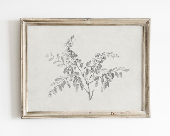 Minimalist Botanical Sketch Print, Vintage Nature Art Print