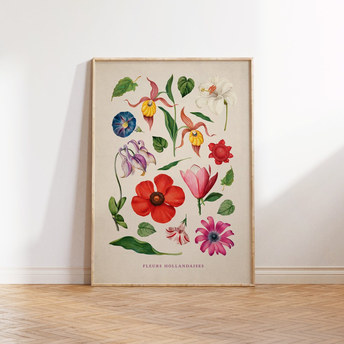 Vintage Fleurs Hollandaises Illustration Poster
