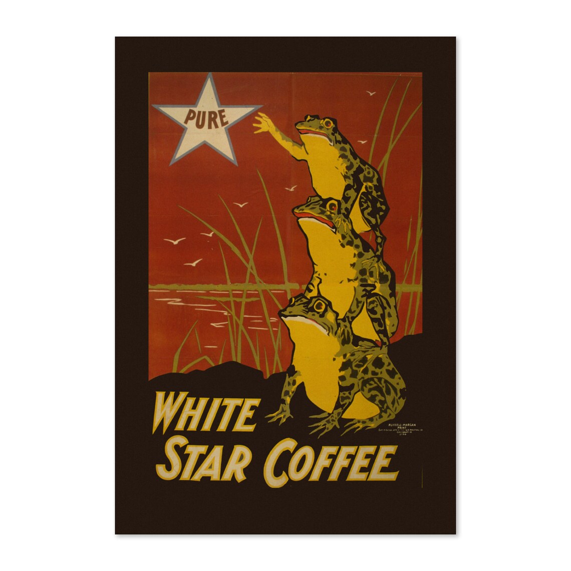 White Star Coffee Vintage Style Frog Art Print