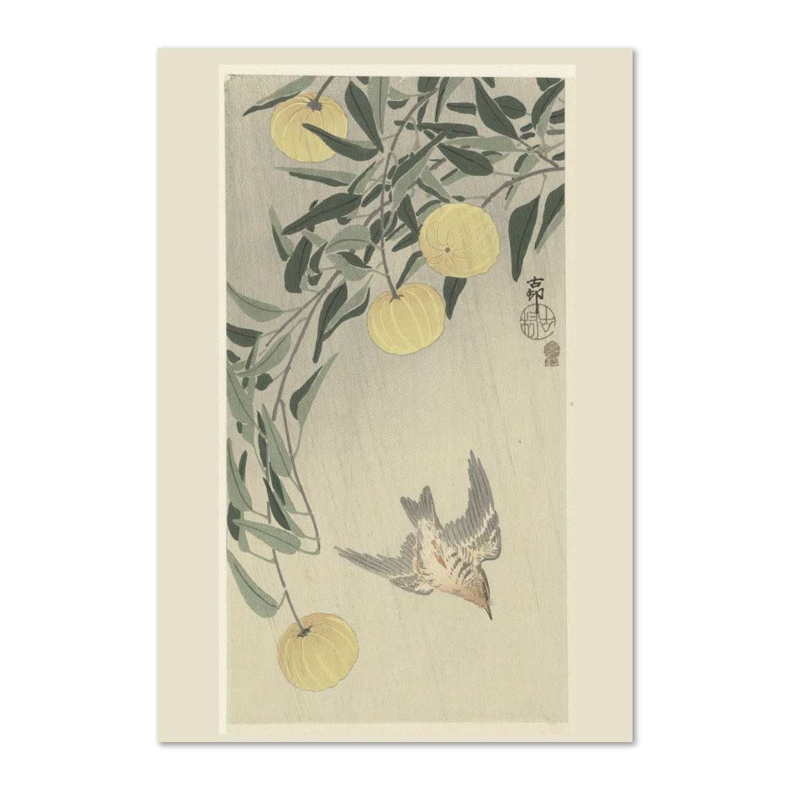 Japanese Woodblock Bird Rain Golden Citrus Branch Nature Poster