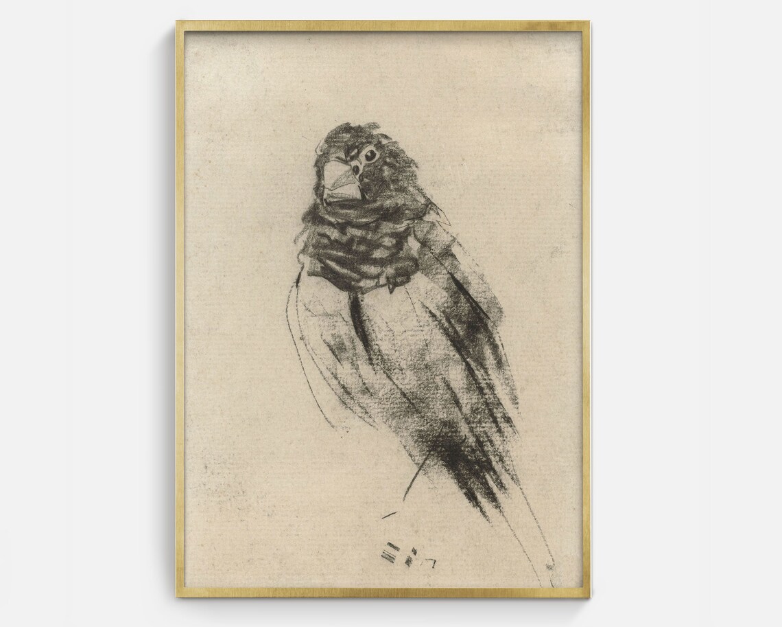Vintage Bird Drawing, Minimalist Charcoal Art Print