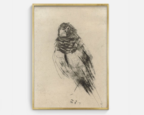 Vintage Bird Drawing, Minimalist Charcoal Art Print
