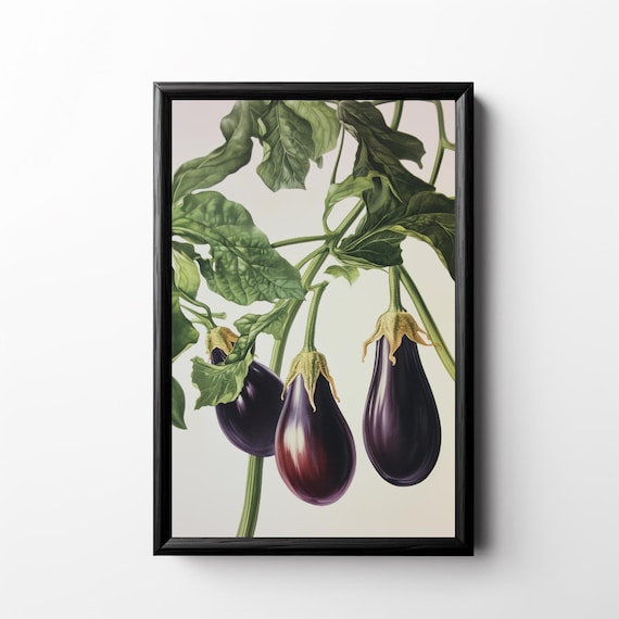 Vintage Eggplant Print Retro Kitchen Decor Aubergine Lithograph Vegetable Kitchen Artwork Restaurant Wall Art Melanzana Poster