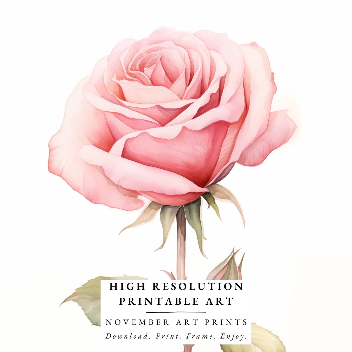 Rose Watercolor Wall Art Watercolor Rose Pink Rose Watercolor Pink Rose Painting Floral Watercolor Rose Wall Art Blush Pink - Image 6