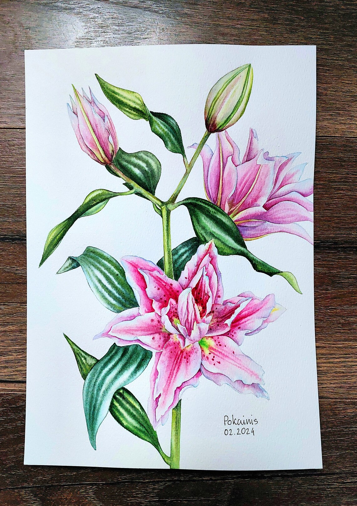 Pink Lily Watercolor Poster With Spotted Double Bloom And Buds - Image 4