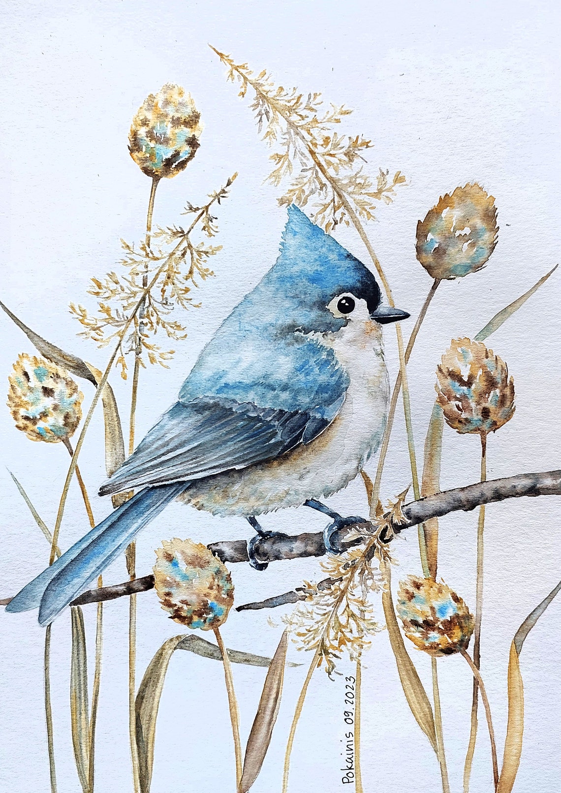 Tufted Titmouse Watercolor Bird Poster Perched Among Seed Heads