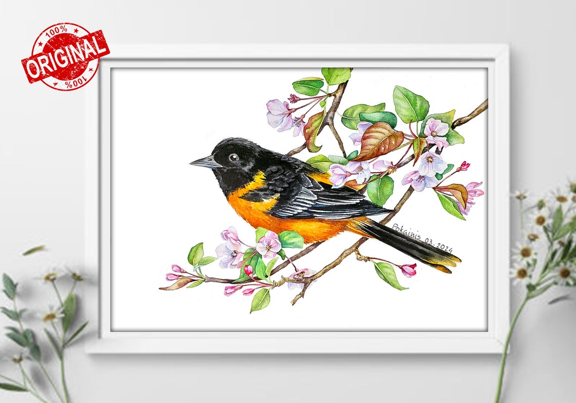 Baltimore Oriole Watercolor Bird on Pink Blossom Branch Poster - Image 2