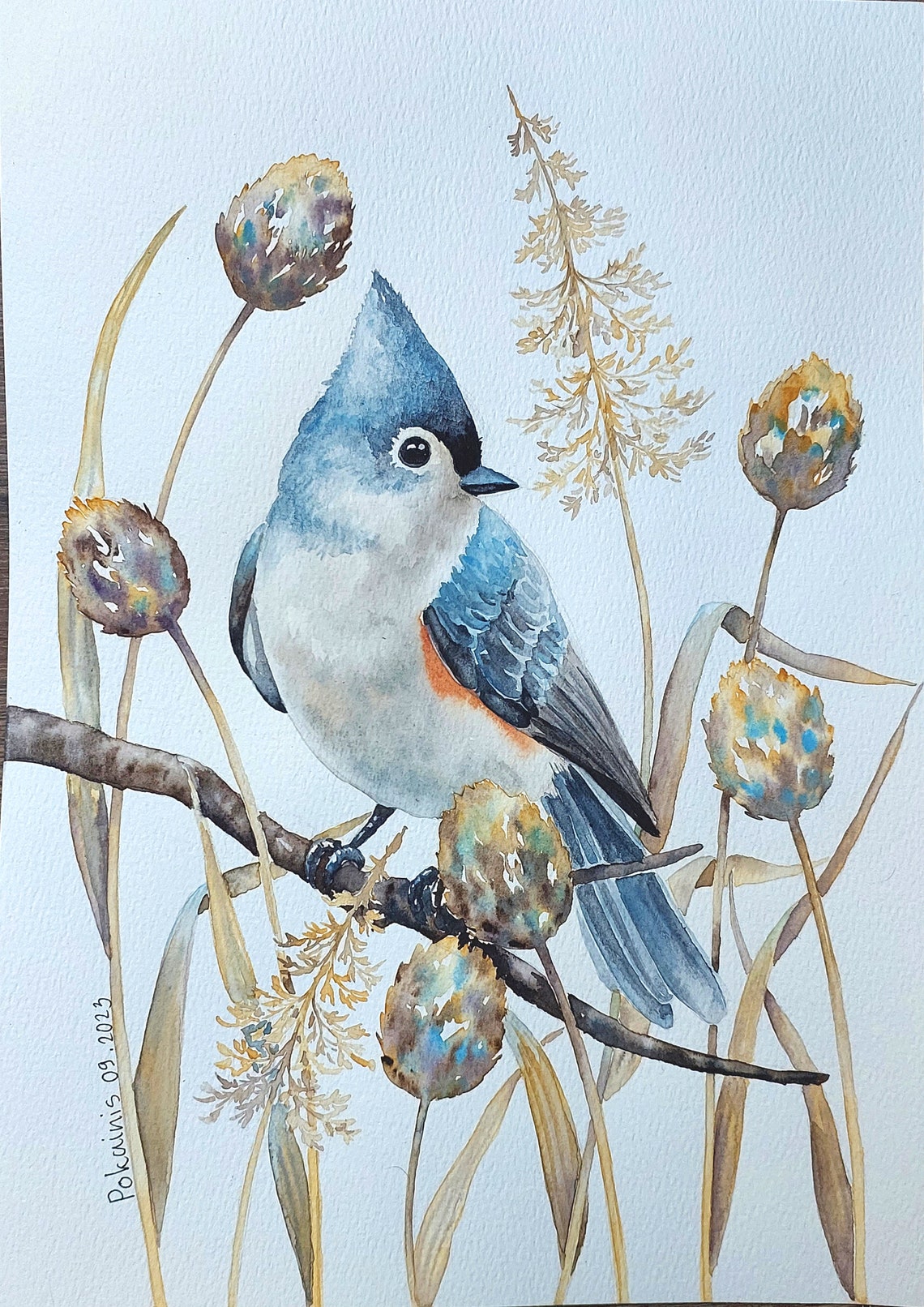 Tufted Titmouse Watercolor Poster With Blue Crest Bird On Branch