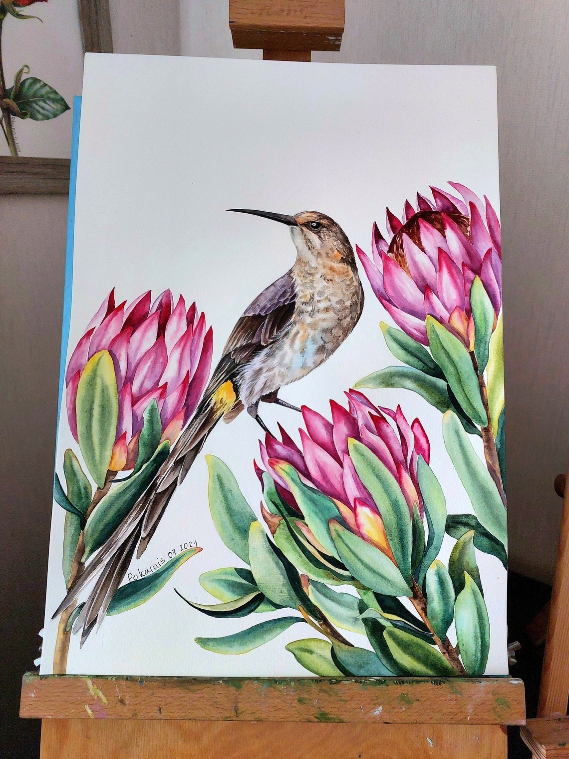 Long Billed Exotic Bird Among Pink Protea Blooms Watercolor Poster - Image 2