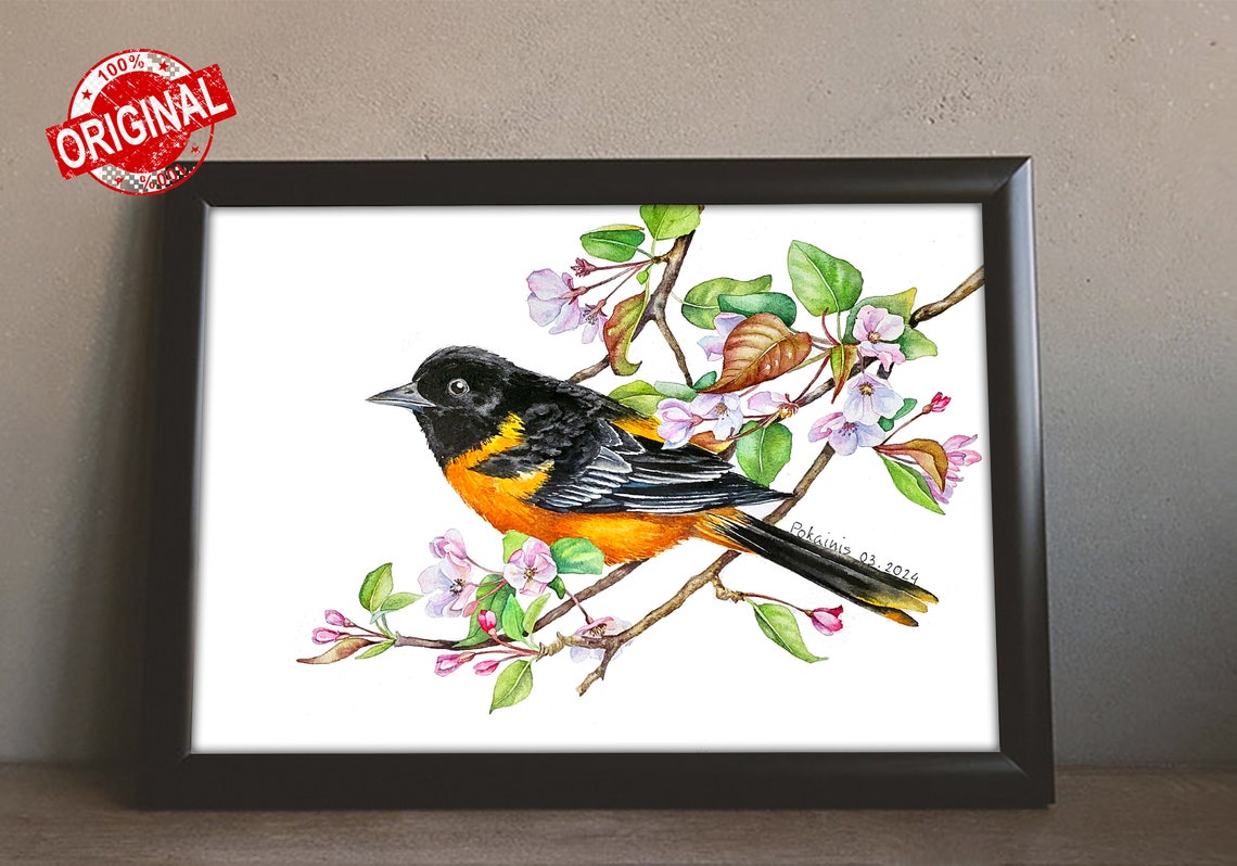Baltimore Oriole Watercolor Bird on Pink Blossom Branch Poster - Image 3